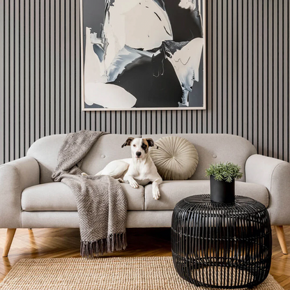 Panneau Acoustique Flexible (270 cm x 110 cm)